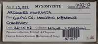 Image Associated With the Occurence